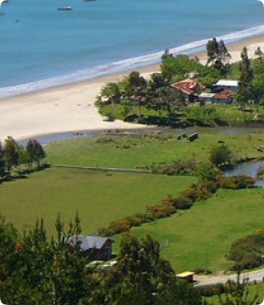 Llico