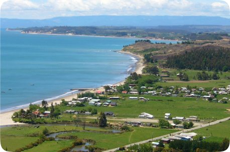Llico