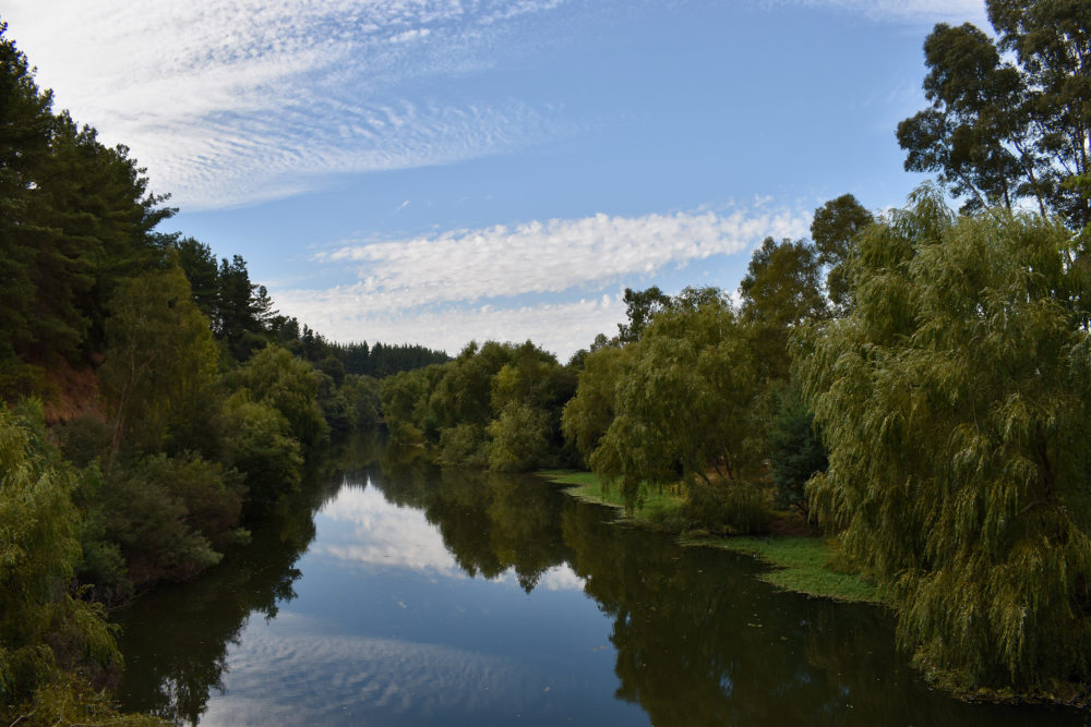 Río CLaro
