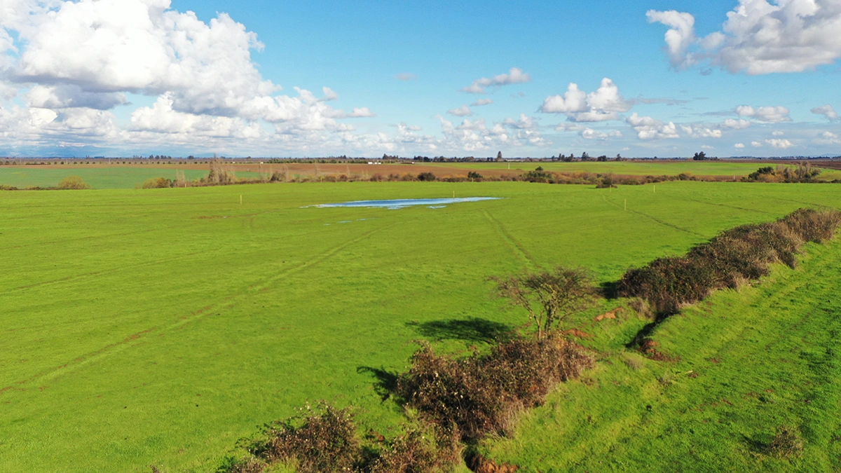 Vista aerea loteo en san rafael, corzaón del maule